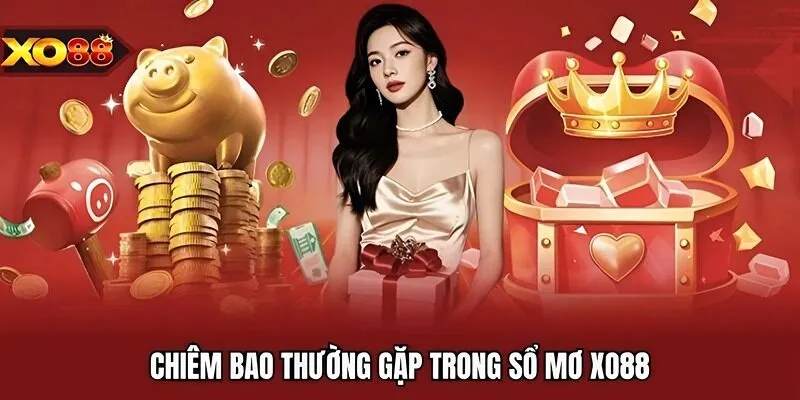 Chiêm bao thường gặp trong sổ mơ Xo88